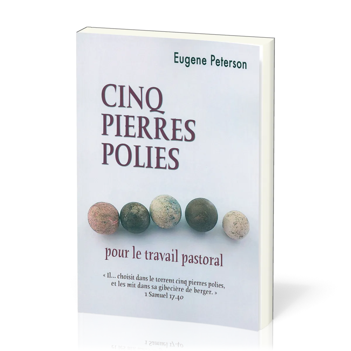 Cinq pierres polies - Pour le travail pastoral