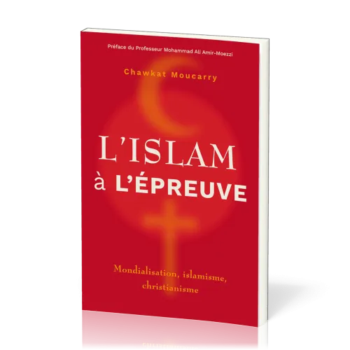 Islam à l'épreuve, L'
