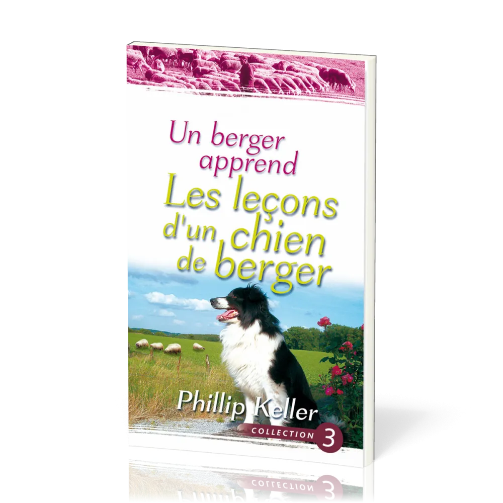 Berger apprend les leçons d'un chien de berger, Un