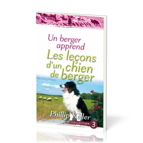 Berger apprend les leçons d'un chien de berger, Un