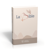 Bible SG21 gros caractères rigide toilée matelassée beige