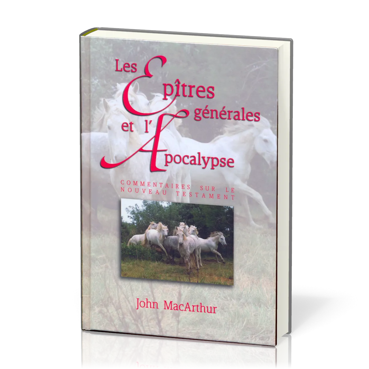Epîtres générales et l'Apocalypse, Les