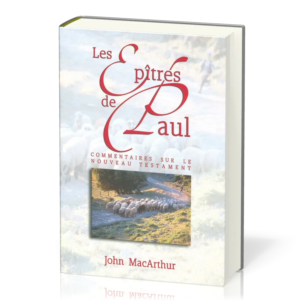 Epîtres de Paul, Les