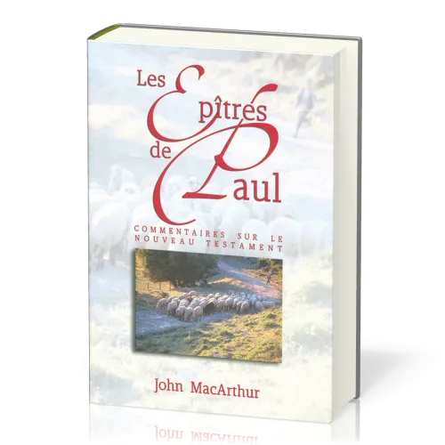 Epîtres de Paul, Les