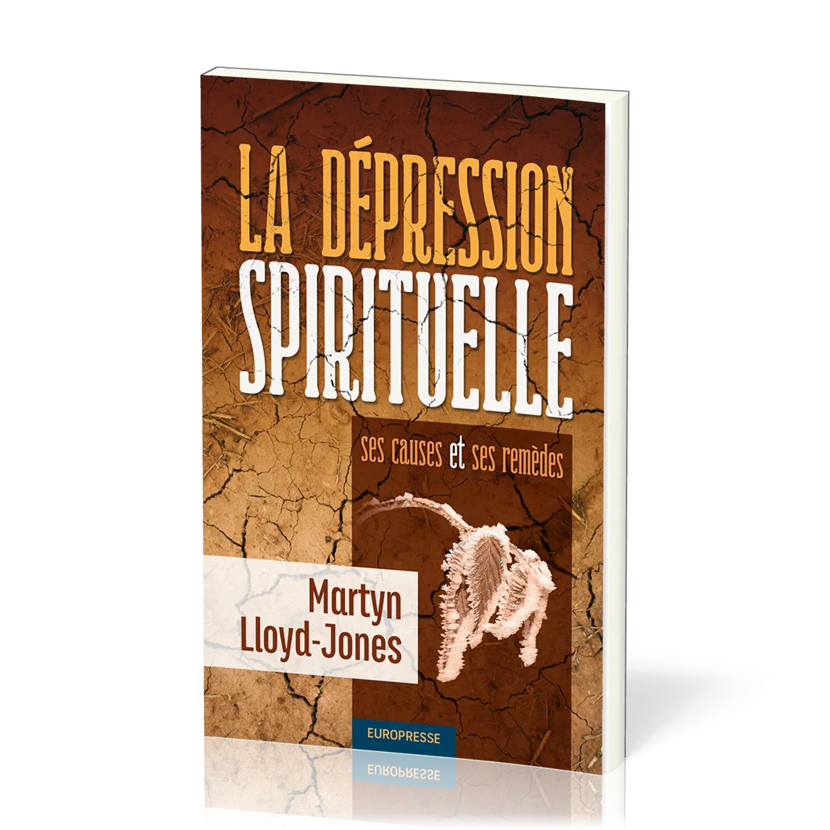 Dépression spirituelle, La - Ses causes et ses remèdes