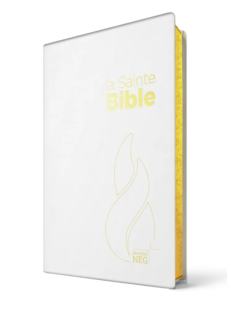 Bible NEG toilée blanc or