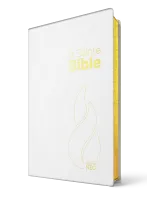 Bible NEG toilée blanc or