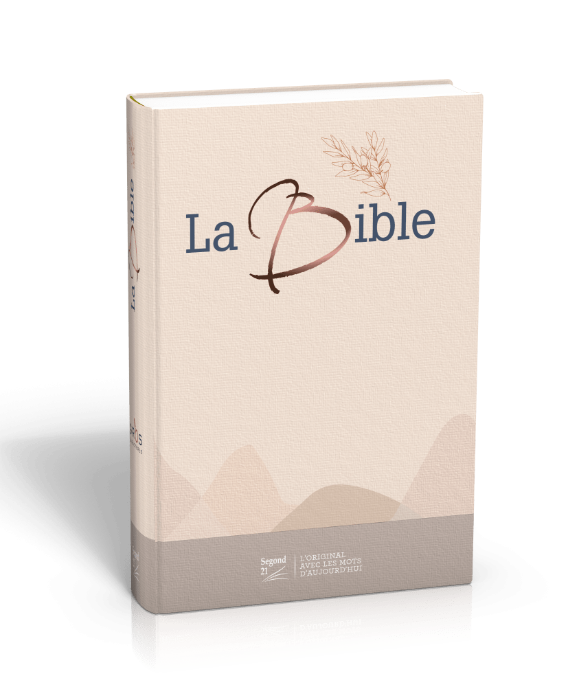 Bible SG21 gros caractères rigide toilée matelassée beige