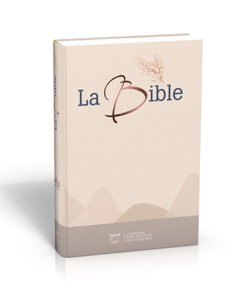 Bible SG21 gros caractères rigide toilée matelassée beige