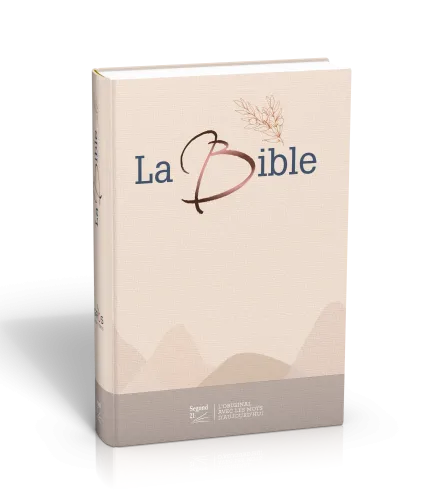 Bible SG21 gros caractères rigide toilée matelassée beige